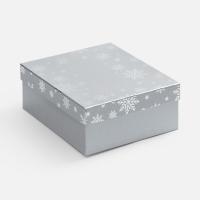 Коробка Wintry, серебристая