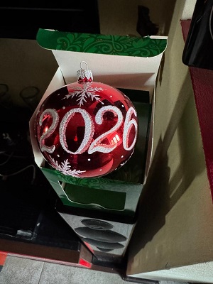 Денис_шар 2026.jpg