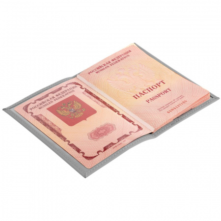 Миниатюра WWW (1000)