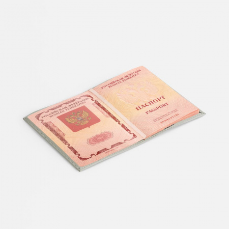 Миниатюра WWW (1000)