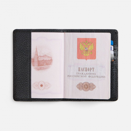Миниатюра WWW (1000)
