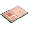 Миниатюра WWW (1000)
