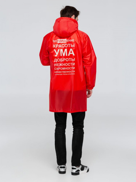Миниатюра WWW (1000)