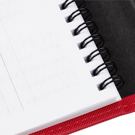 Миниатюра WWW (1000)